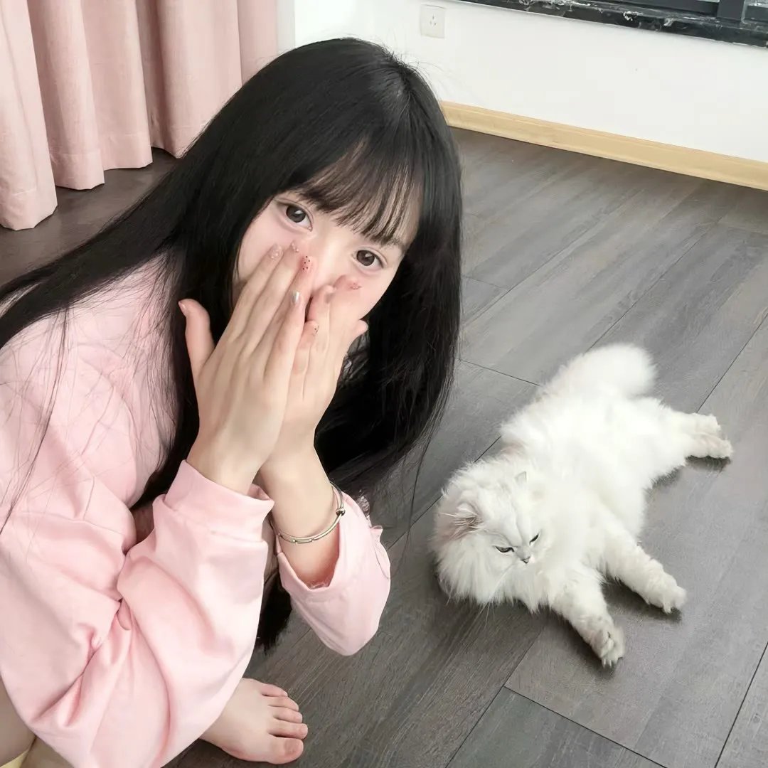 活死人之夜动画版